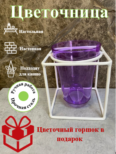 ЦК 4 Цветочница белая