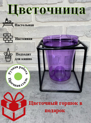 ЦК 4 Цветочница чёрная