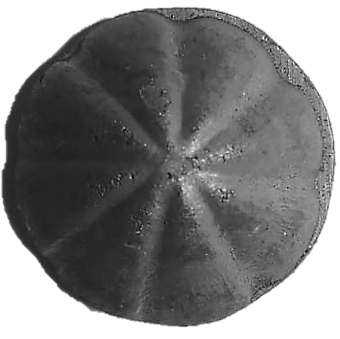 1903.