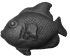 6325.
