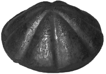 1903