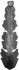 51108