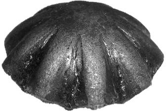 635